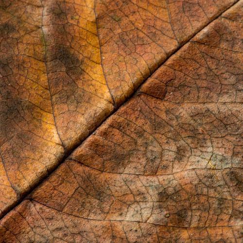 Photo #3878690