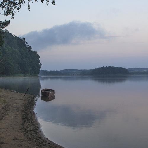 Photo #3879177