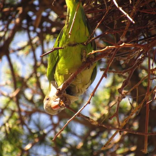 Photo #3879199