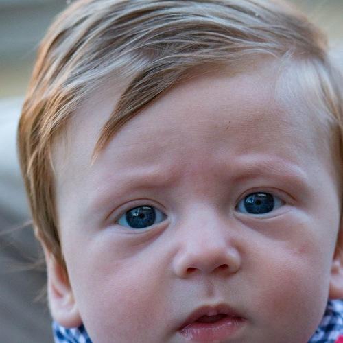Photo #3879532