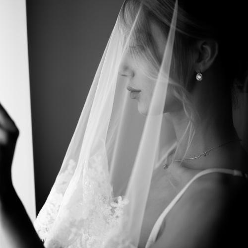 Photo #3879759