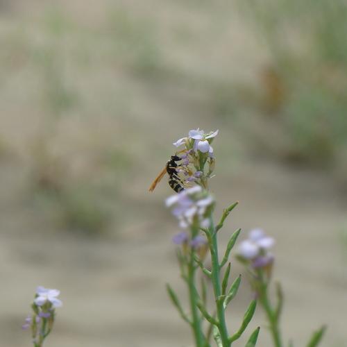Photo #3879955