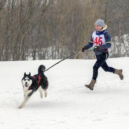 Photo #3880121