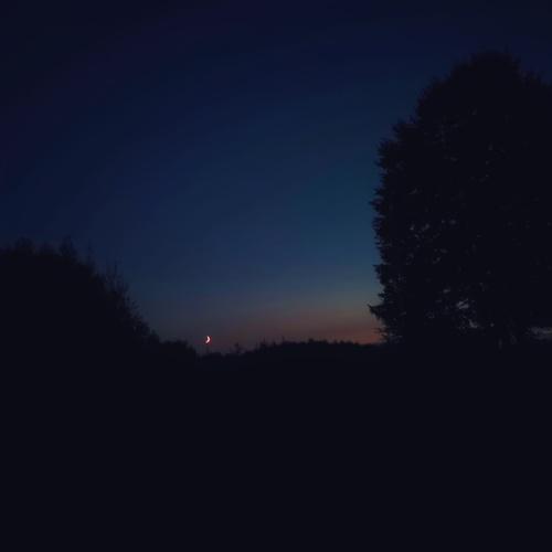 Photo #3880211