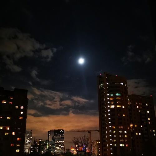 Photo #3880213