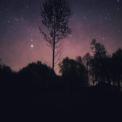 Photo #3880227