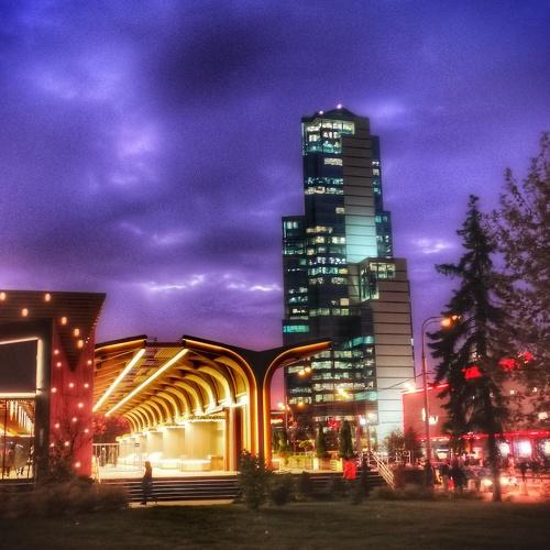 Photo #3880229