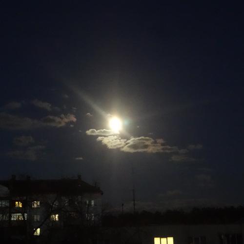 Photo #3880298
