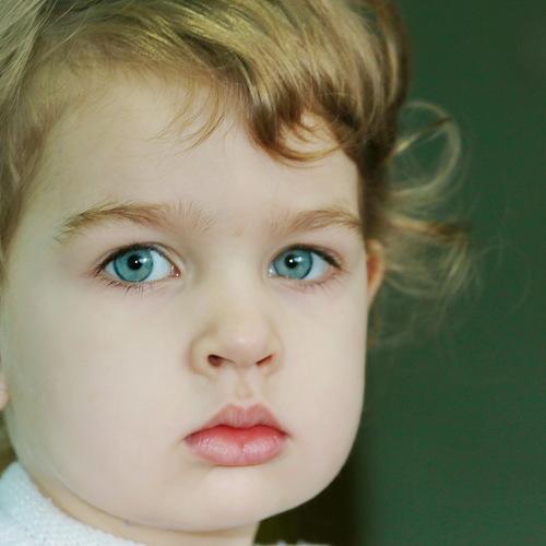 Photo #3880686