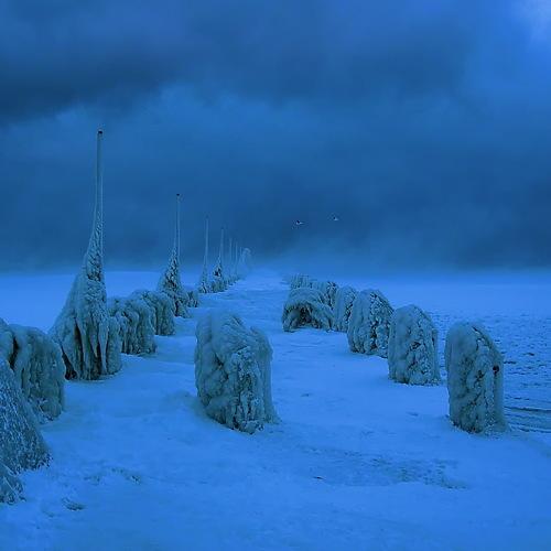 Photo #3880765