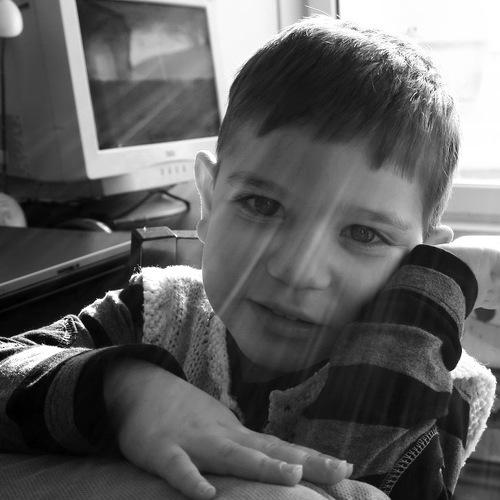 Photo #3880779