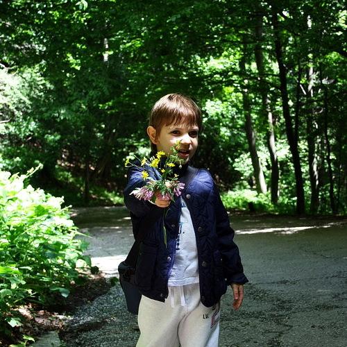 Photo #3880780