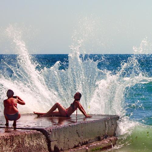Photo #3880785