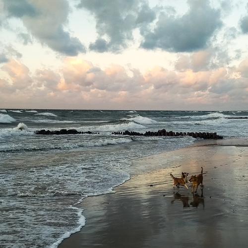 Photo #3880880