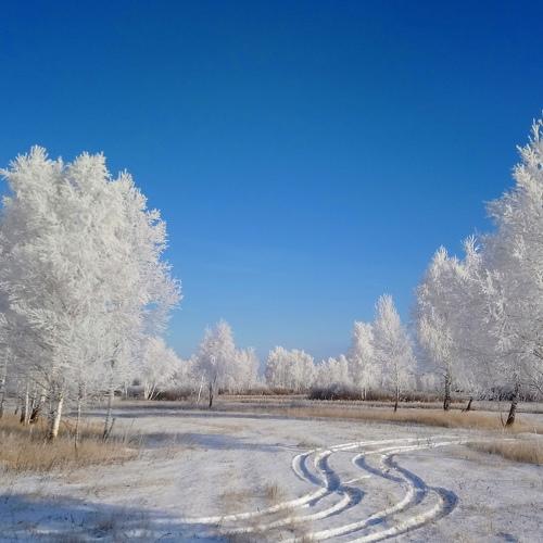 Photo #3880958