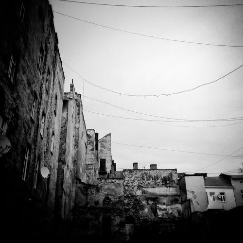 Photo #3881233