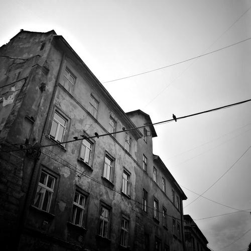 Photo #3881234