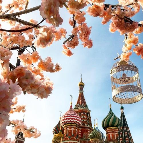 Photo #3881510