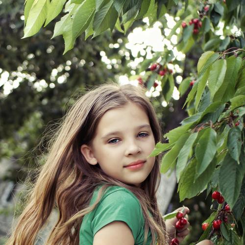 Photo #3881635