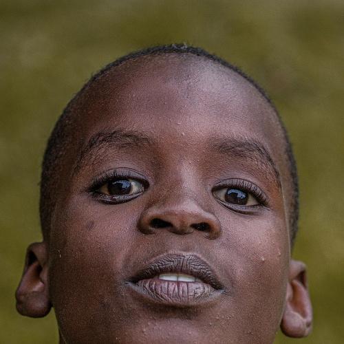 Photo #3881934