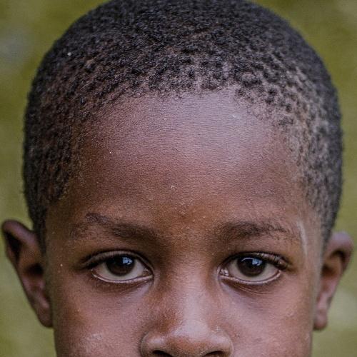 Photo #3881968