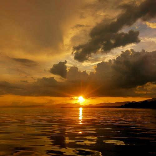Burning Bright