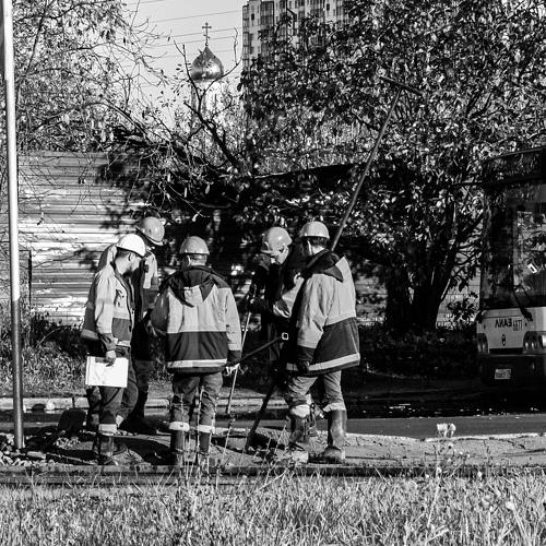 Photo #3882524