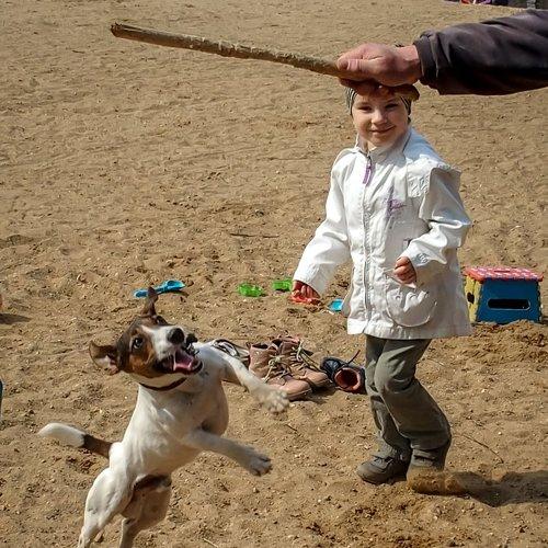 Photo #3883181