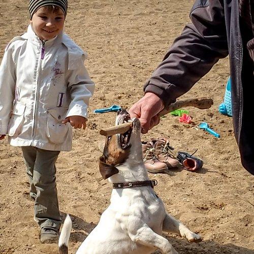 Photo #3883182