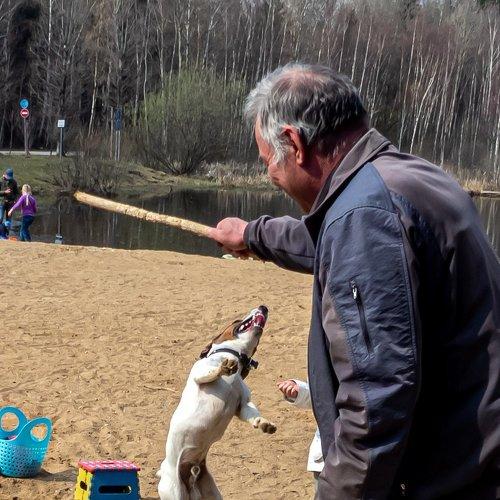 Photo #3883183