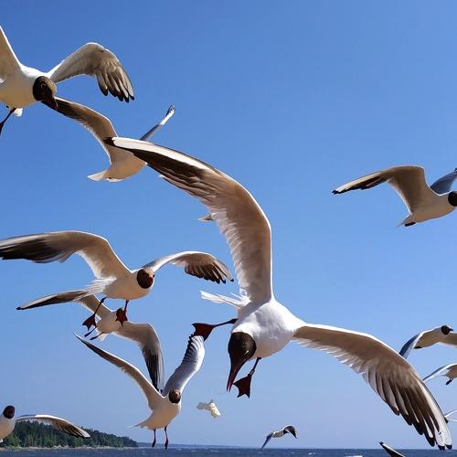 Photo #3883681