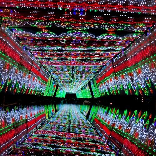 Photo #3884042