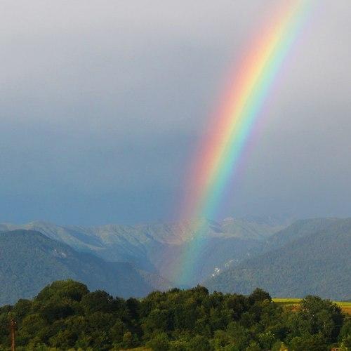 Photo #3884077