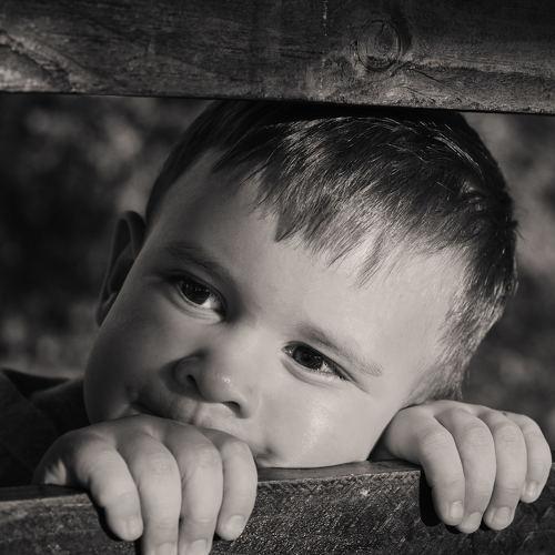 Photo #3884103