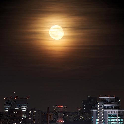 Photo #3884432
