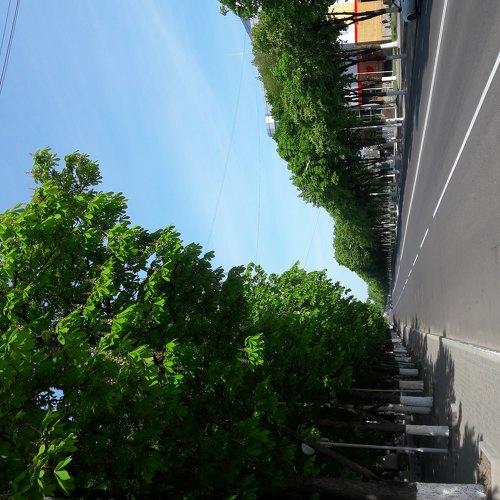 Photo #3884511