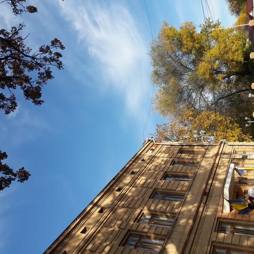 Photo #3884519