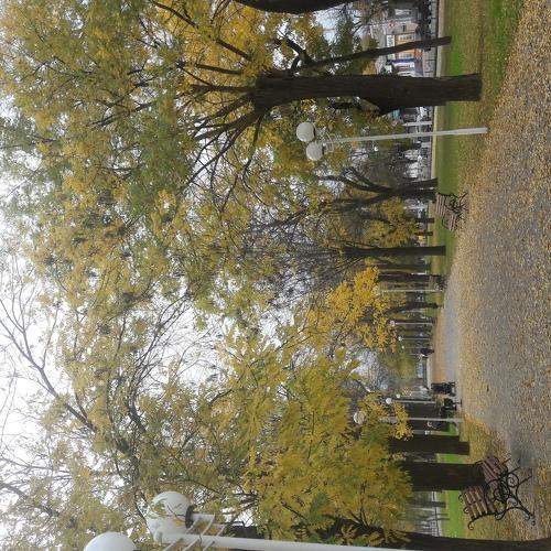 Photo #3884521