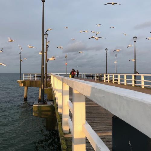 Photo #3884528