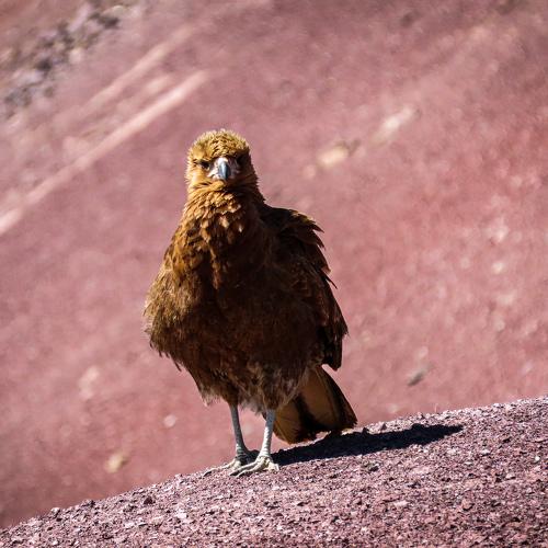 Photo #3884594
