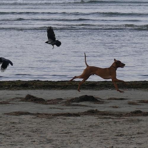 Photo #3884978