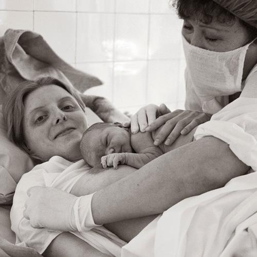 Photo #3885884