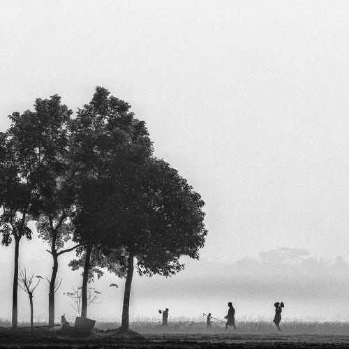 In quest of livelihood