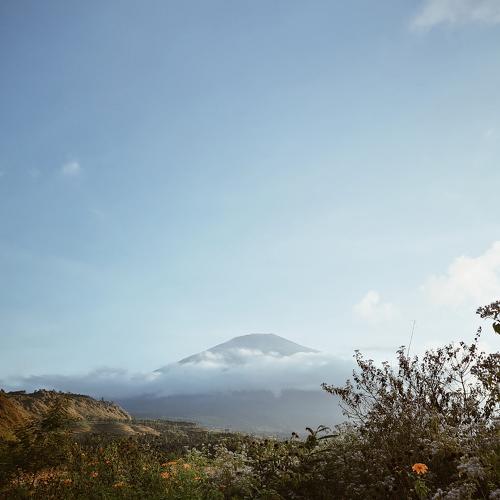 Photo #3887014