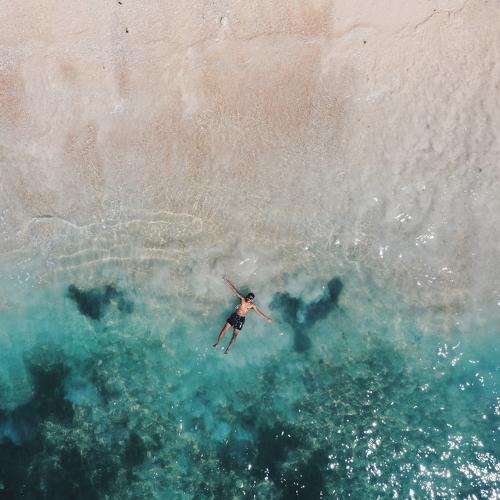 Photo #3887042