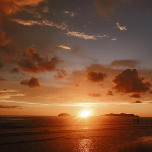 Photo #3887053
