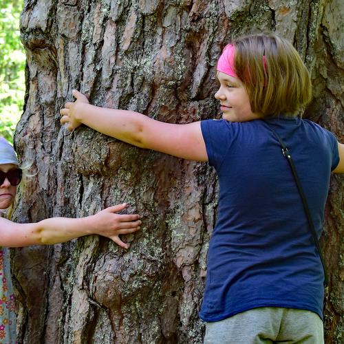 Tree hugging sisters