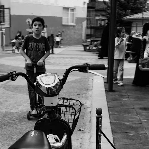 Photo #3887349
