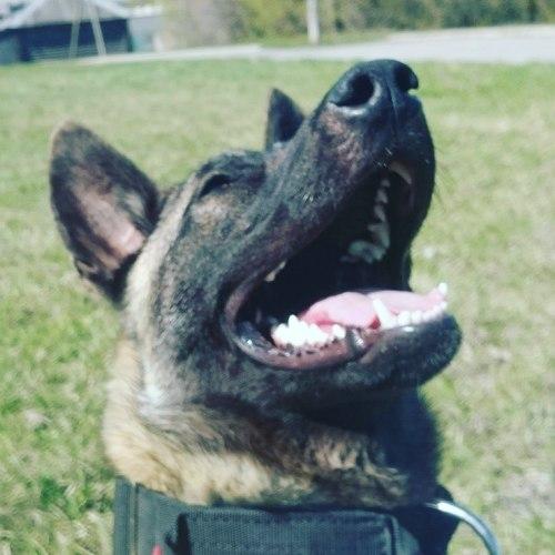 Photo #3888107