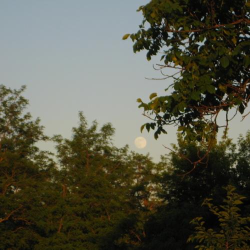 Photo #3888198